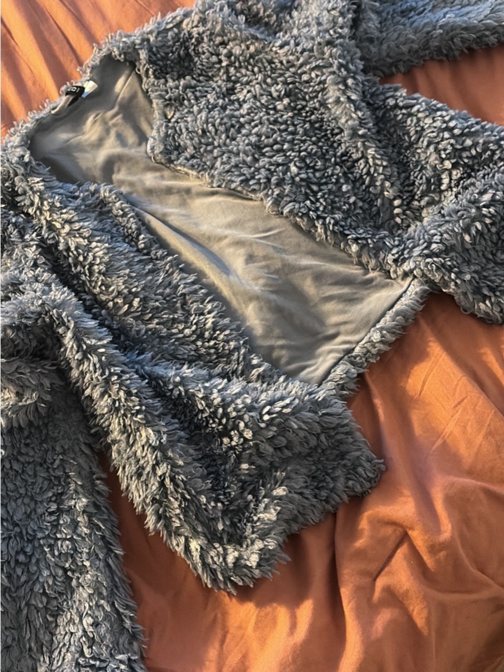 Cozy Teddy Jacket in Blue - Women’s Plush Coat